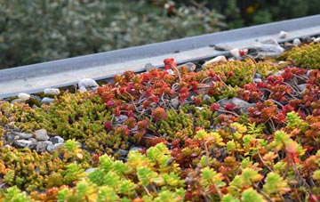 the cost of Maesygwartha green roof installation