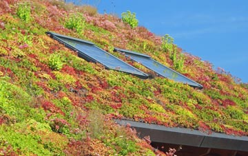 Maesygwartha living roof systems