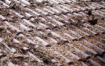 Maesygwartha roof cleaning companies